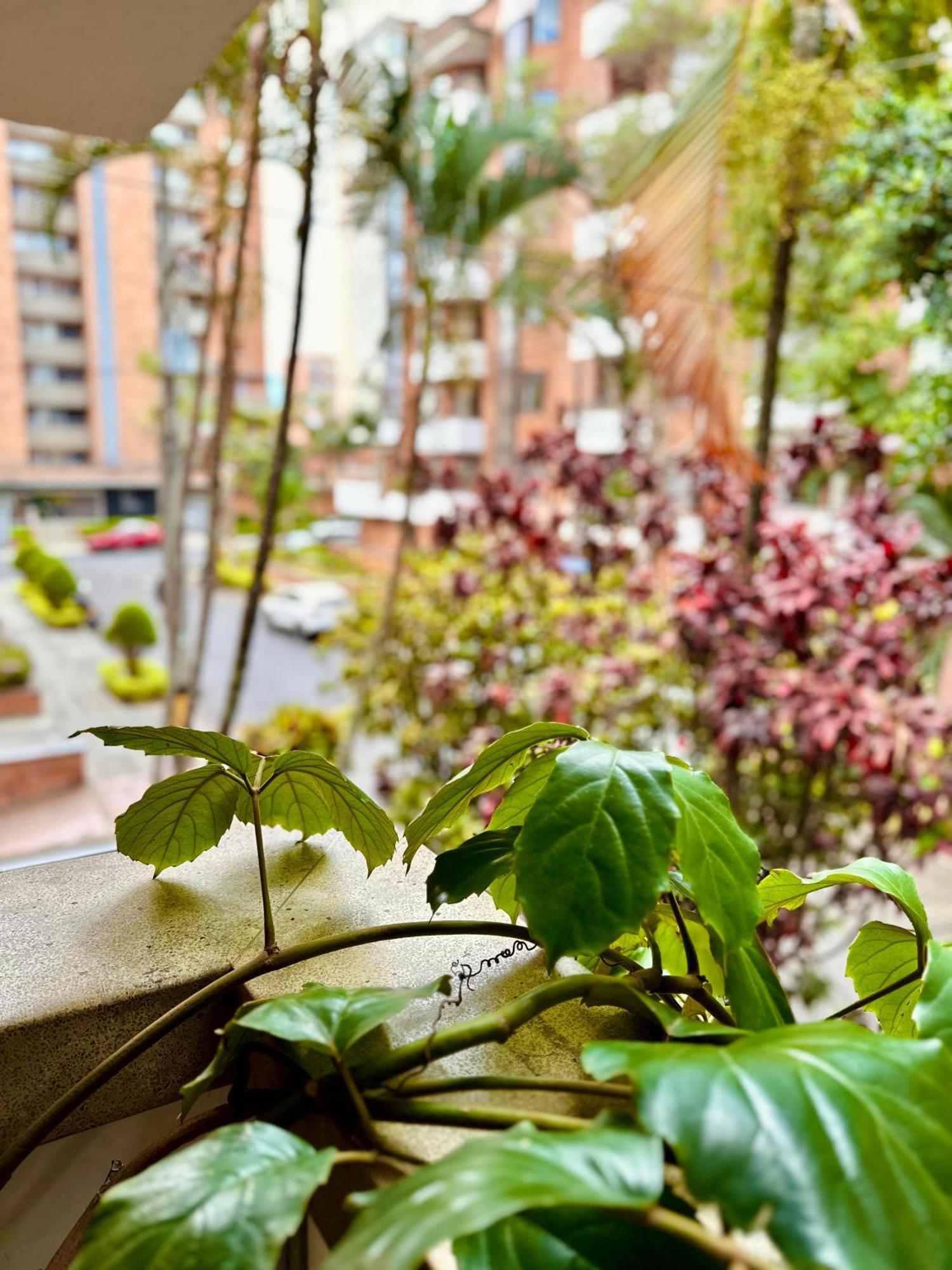 Hotel Boutique Fiorentina Medellin Exterior photo